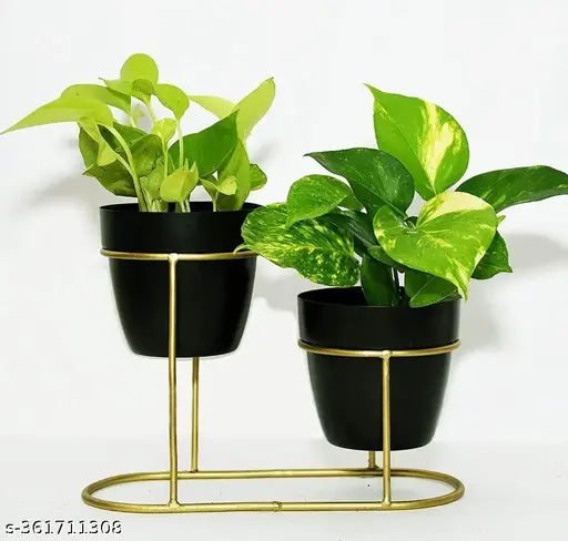 SM Arts Ghufran Metal Plant Pot with Stand, Pack of 2 | Black Flower Indoor Planter | Living Room Outdoor Garden | Office Desk Pot with Gold Metal Stand